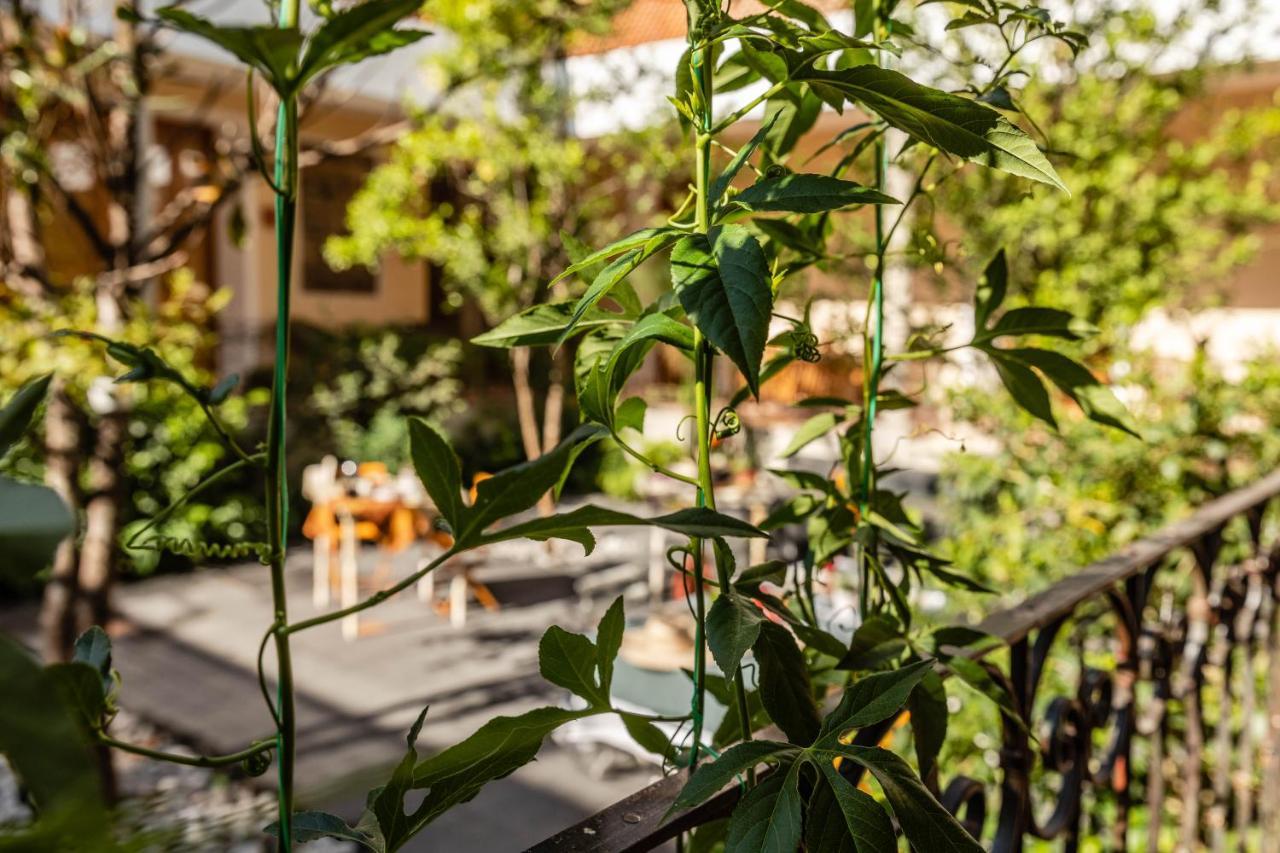 Casa Tuna Città del Messico Esterno foto